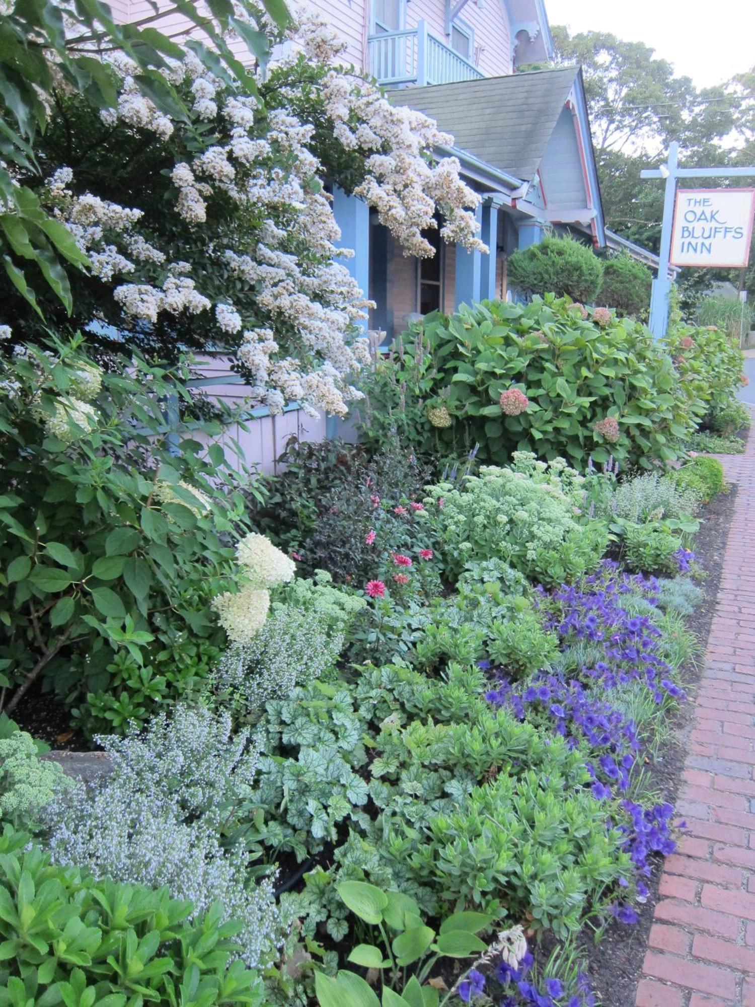 The Oak Bluffs Inn Exterior foto